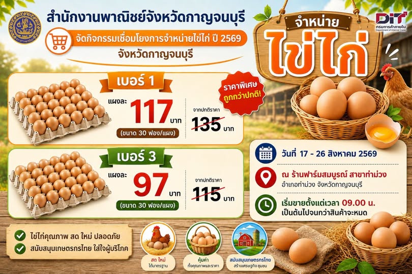 สำนักงานพาณิชย์จังหวัดกาญจนบุรี 🛒จัดกิจกรรมเชื่อมโยงการจำหน่ายไข่ไก่ ปี 2569 จังหวัดกาญจนบุรี  &mdash;&mdash;&mdash;&mdash;&mdash;&mdash;&mdash;&mdash;&mdash;&mdash;  จำหน่ายไข่ไก่ 🥚🐓   🥚🐓เบอร์ 1️⃣ แผงละ 117 บาท จากปกติราคา 135 บาท        (ขนาด 30 ฟอง/แผง)   🥚🐓เบอร์ 3️⃣แผงละ 97 บาท จากปกติราคา 115 บาท        (ขนาด 30 ฟอง/แผง) &mdash;&mdash;&mdash;&mdash;&mdash;&mdash;&mdash;&mdash;&mdash;&mdash;- 📅วันที่ 17 - 26 สิงหาคม 2569 📍ณ ร้านฟาร์มสมบูรณ์ สาขาท่าม่วง อำเภอท่าม่วง จังหวัดกาญจนบุรี ⏰เริ่มขายตั้งแต่เวลา 09.00 น. เป็นต้นไปจนกว่าสินค้าจะหมด