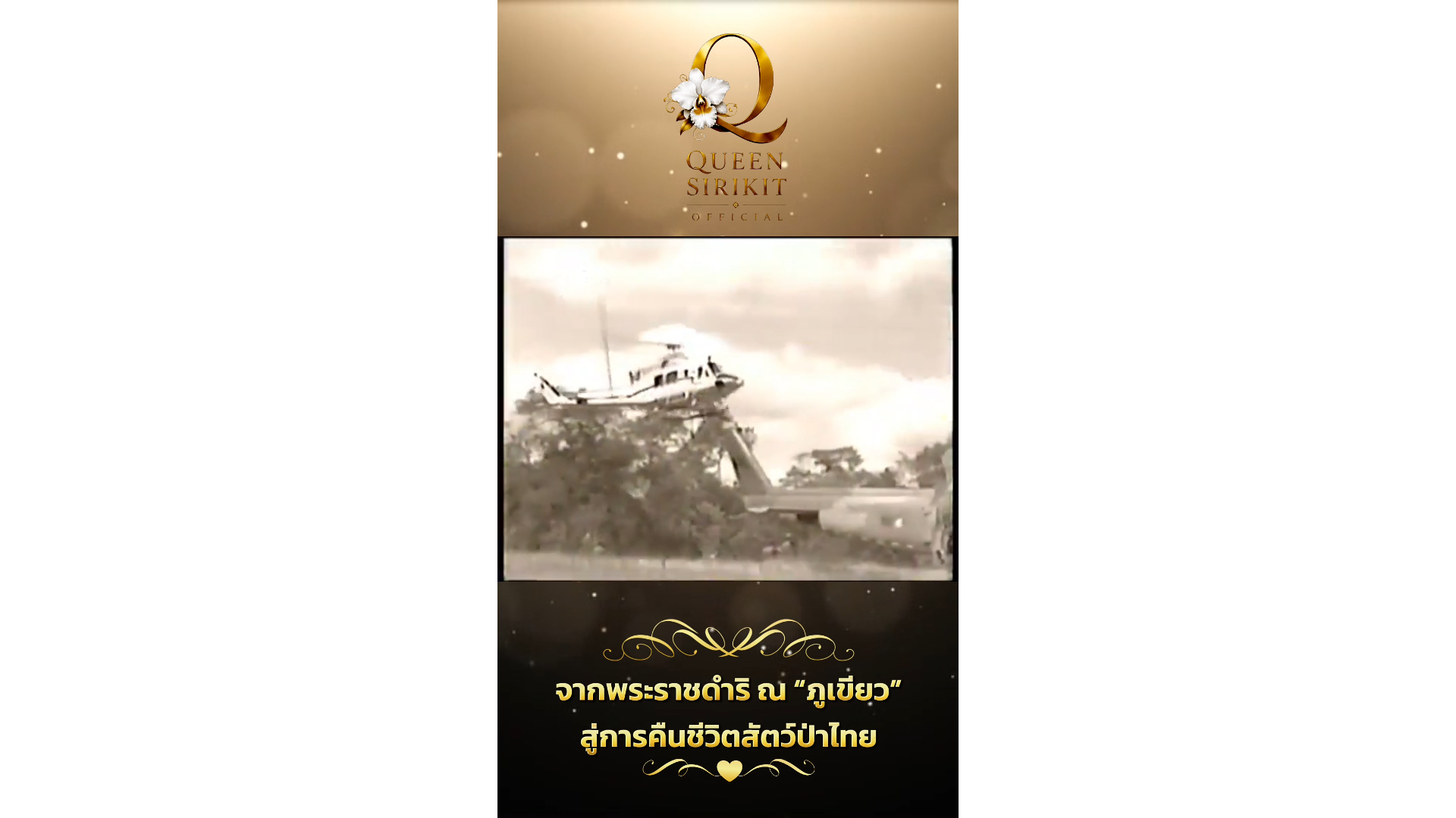 จากพระราชดำริ ณ &ldquo;ภูเขียว&rdquo; สู่การคืนชีวิตสัตว์ป่าไทย